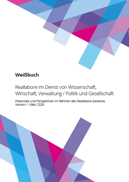 PDF-Vorschau: Download des Weißbuchs
